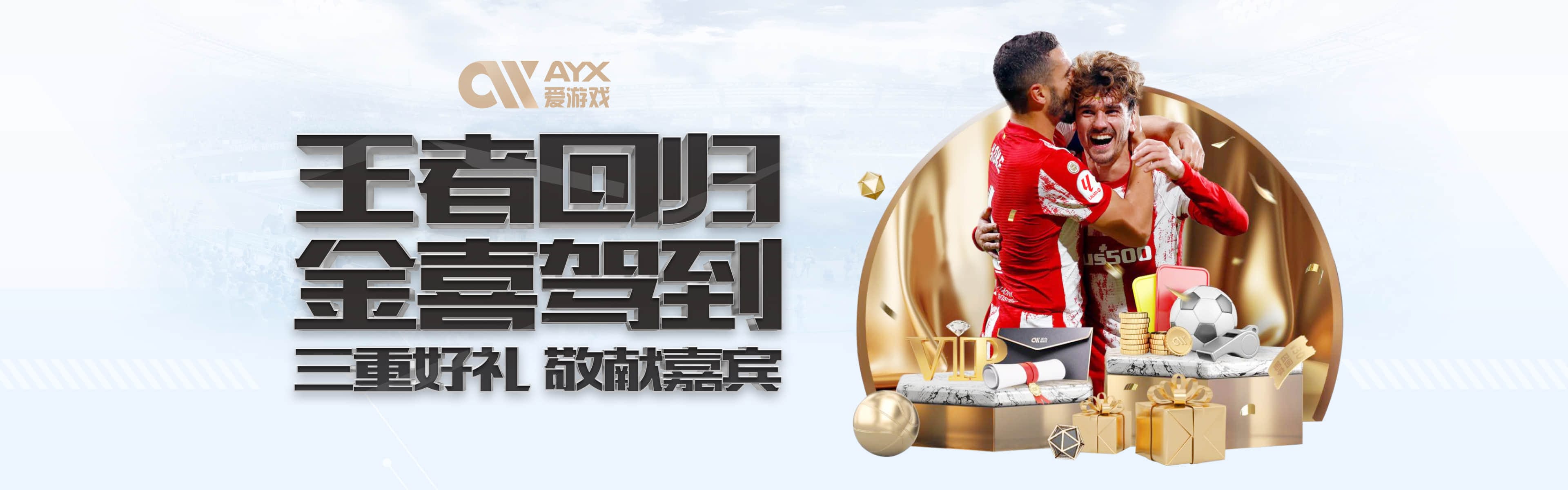 AYX·爱游戏 - 中国体育娱乐平台-AYXSPORT